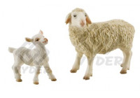 Chov oviec a kôz